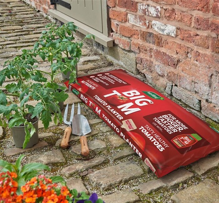 Big Tom Tomato Planter