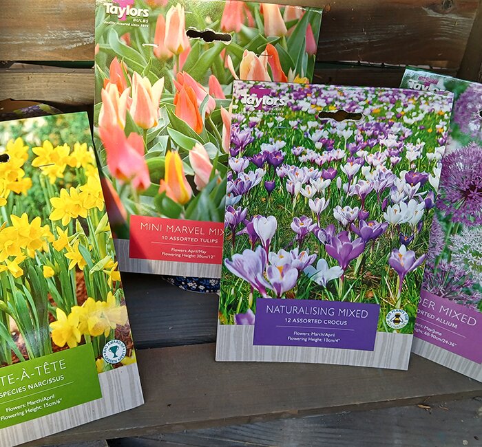 Bulbs - Narcissus Tete a Tete, Tulip Mini Marvel Mix, Crocus Naturalising Mixed, Allium Border