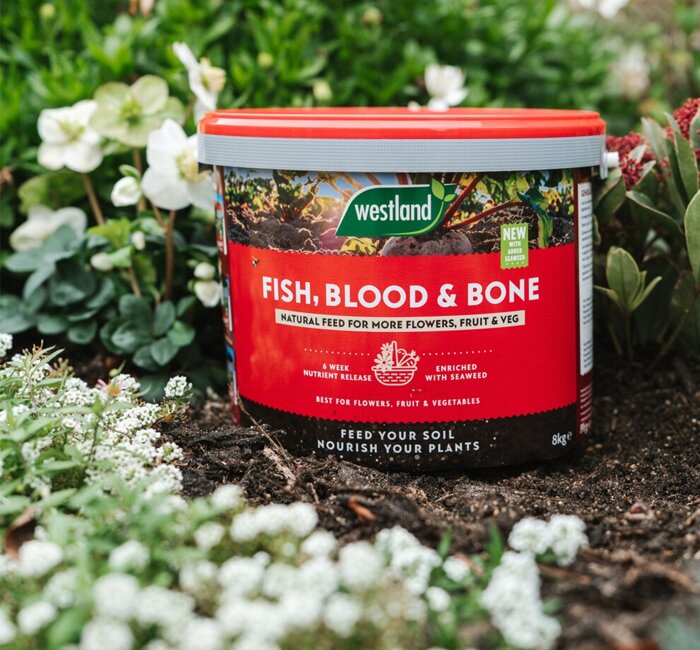 Garden Care - Fish, Blood, & Bone