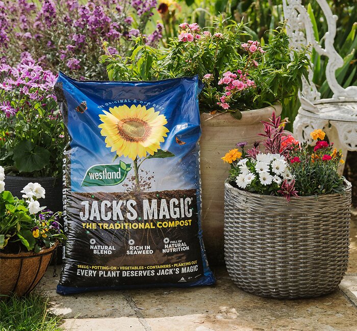 Compost - Jacks Magic Multi-Purpose Compost - 50L