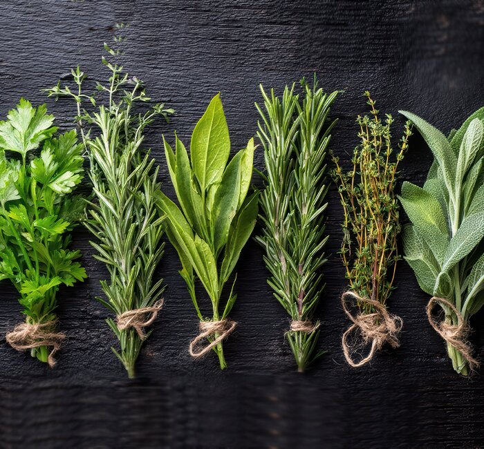 Plants - 9cm Herb Plants