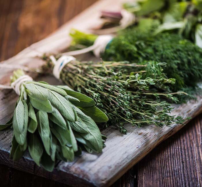Plants - Herb Plants