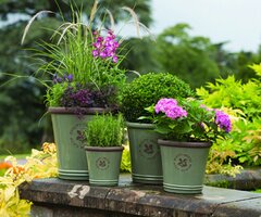 Containers, Stoneware and Terracotta Pots