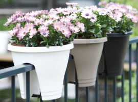 Containers, Stoneware and Terracotta Pots