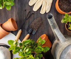 Garden & Plant Care