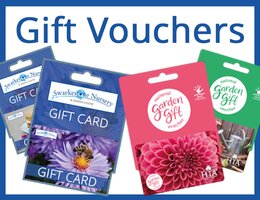 Gift Vouchers