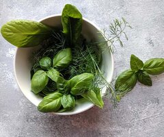 Herbs