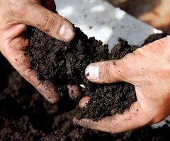 Soil and fertilisers