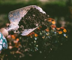 Soil and fertilisers